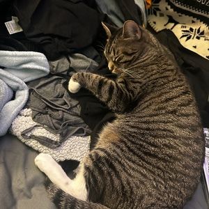 Meet your Posher, Patricia